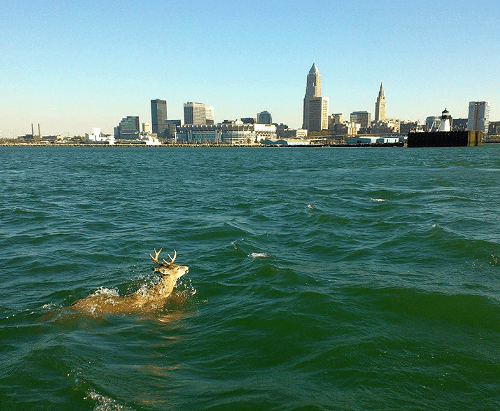 1351278762-picture_2025